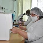Фотодокумент 247