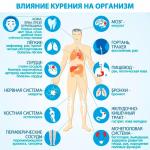 Фотодокумент 264