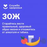 Фотодокумент 291