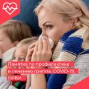 Памятка по профилактике ГРИППа