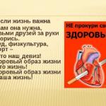 Фотодокумент 331