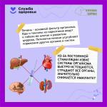 Фотодокумент 373