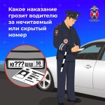 Скрытые номера